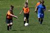 BPFC Black vs Mt Lebo Thunder - page 2 - Picture 25