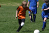 BPFC Black vs Mt Lebo Thunder - page 2 - Picture 30