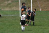 BPFC Black vs USC - Picture 54