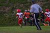 BP Orange vs Peters Twp White p2 - Picture 35